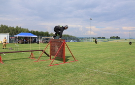 IMG_0980