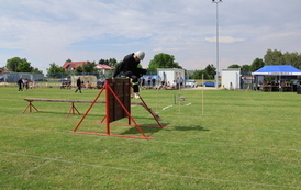 IMG_0932