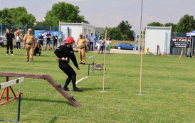 IMG_0854