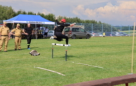 IMG_0848