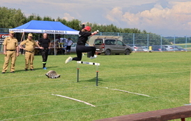 IMG_0847